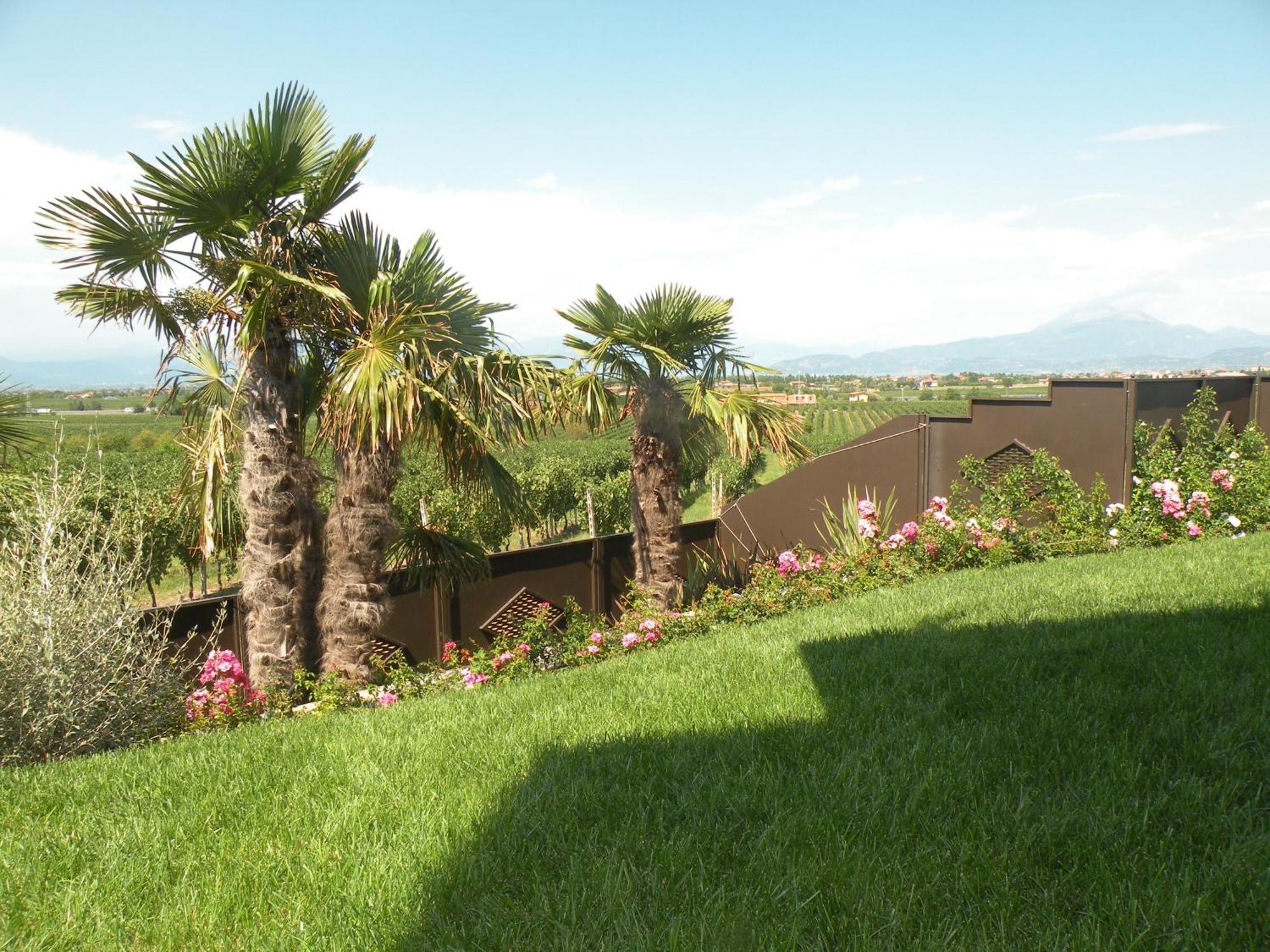 Sweet Life Bed and Breakfast Peschiera del Garda Exteriör bild